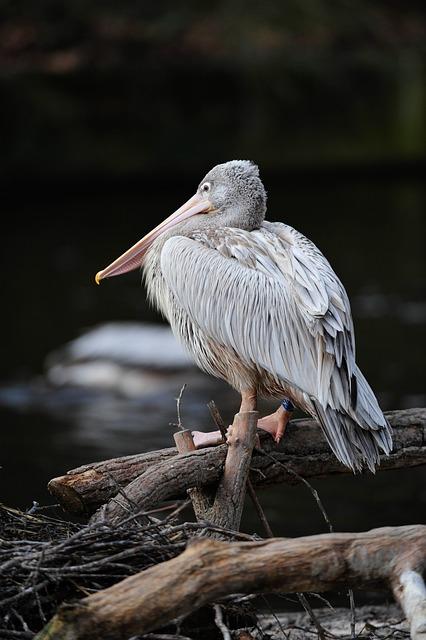 Florida Sees Travel Numbers Approach Pre-Pandemic Levels