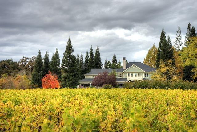 The timeless allure of Napa Valley