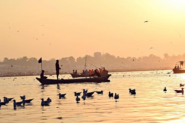 “Twilight” fans, Bella Swan’s house is bookable on Airbnb