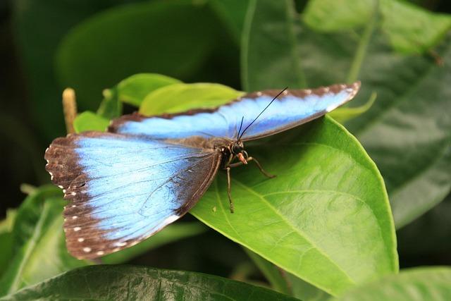 How I Travel: Simon Pegg Has a Long, Relatable List of Hotel Demands