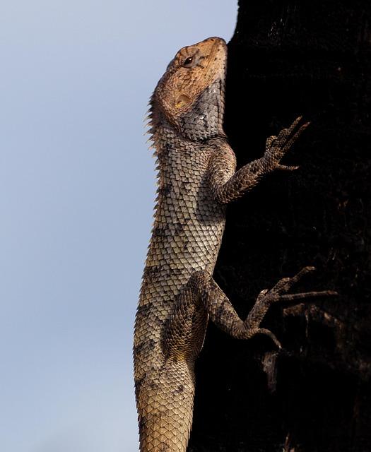 In Mauritius, culinary exchange lures some of Europe’s top chefs to the Constance Culinary Festival