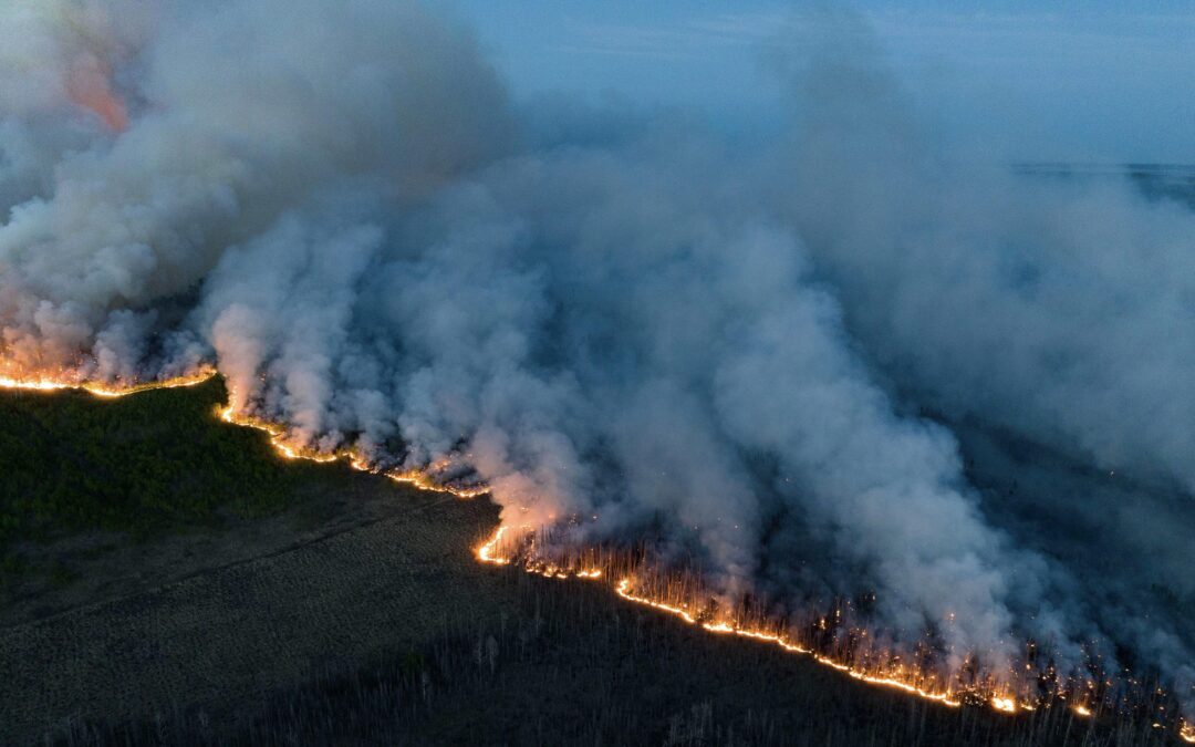 Wildfires Continue to Burn At the Grand Canyon—Here’s What to Know