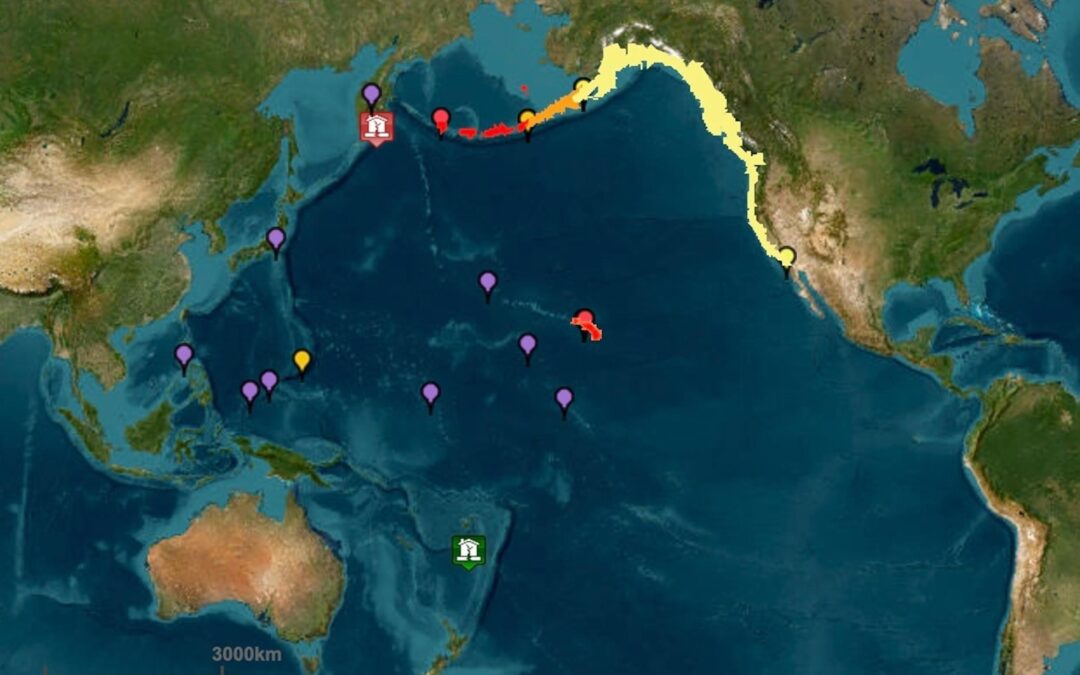 What to Know About Tsunami Warnings in Hawaii, California, and Japan